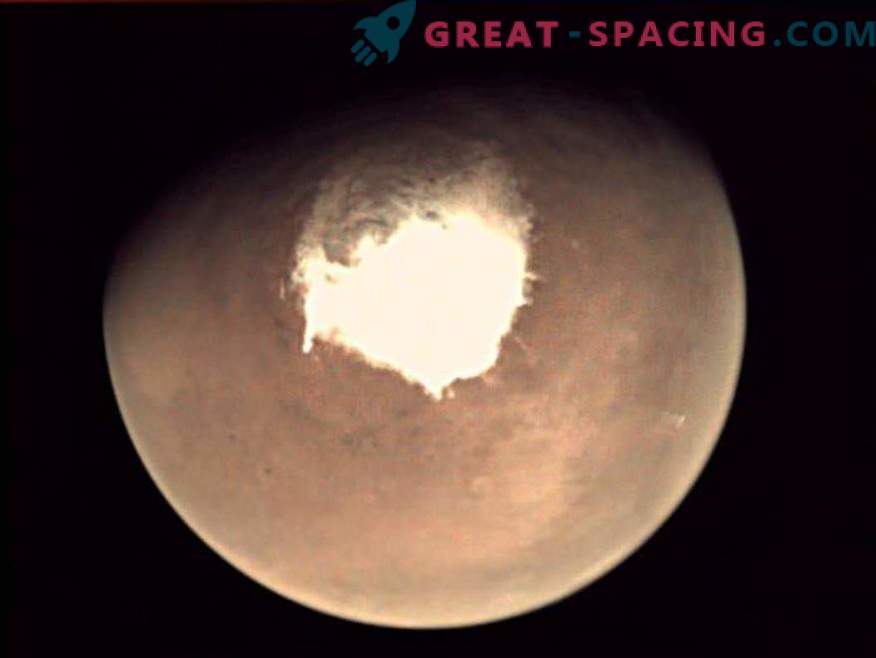 Kāds zemes organisms var slēpties sāļā Marsa ūdenī?