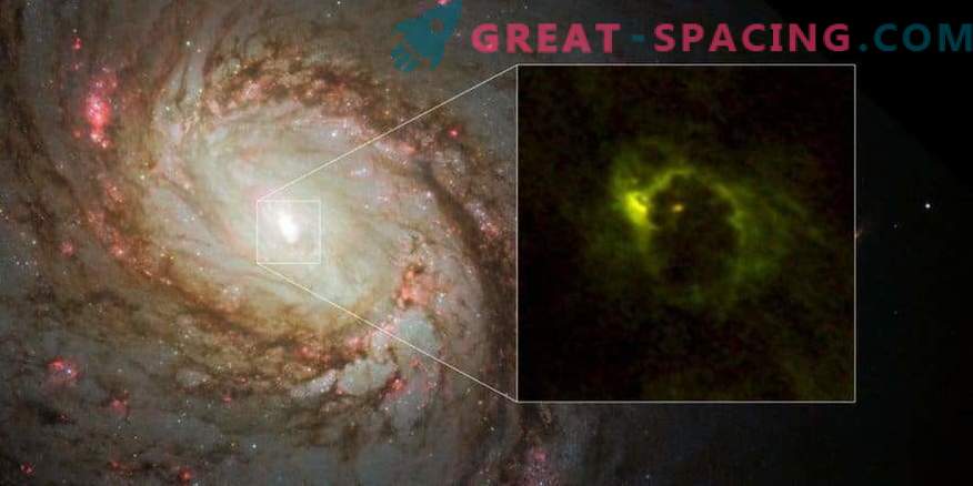 Gasdoughnut rond een supermassief zwart gat