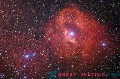 Best Photo of the Gum Nebula 41