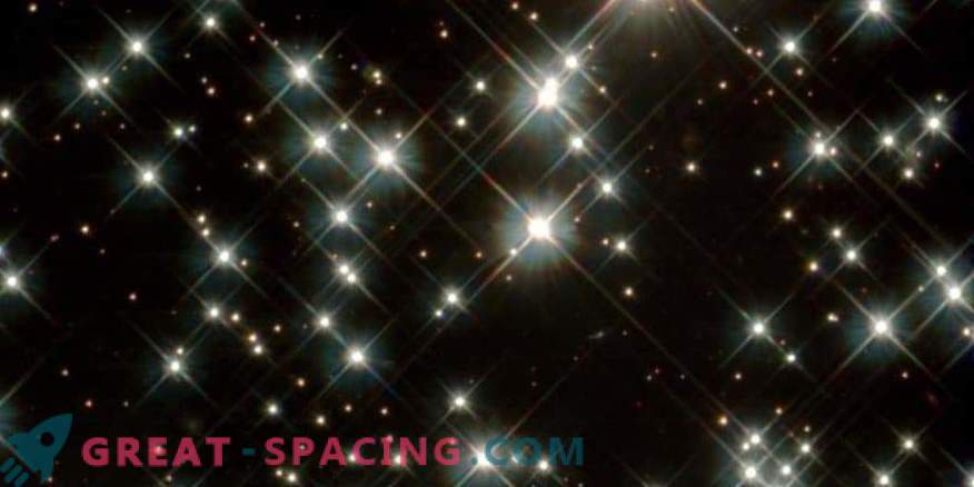 Melnais punduris: kā izskatās zvaigznes zvaigzne