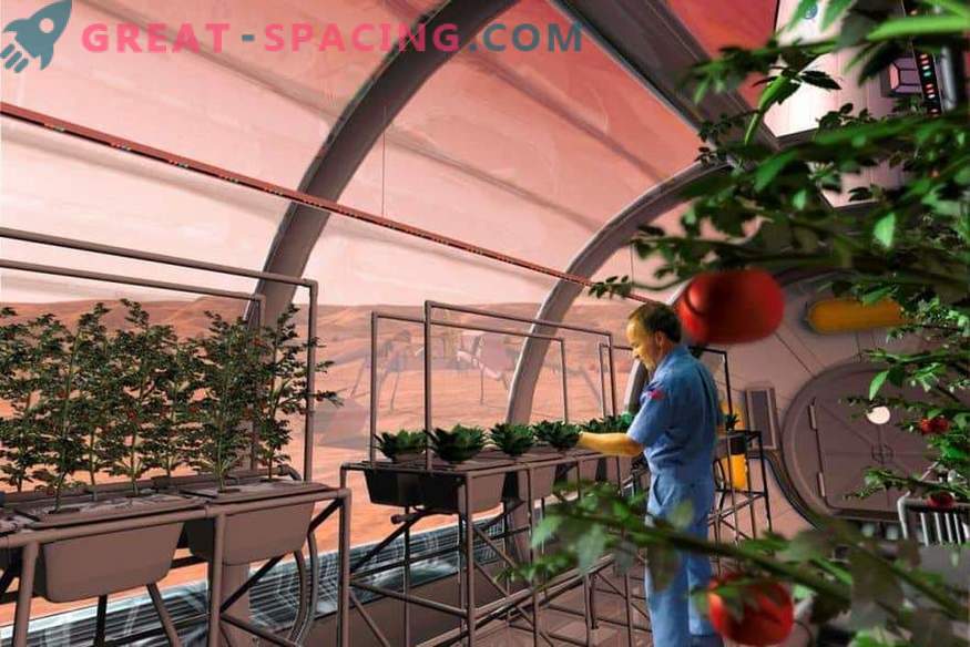 NASA nosūtīs augus uz Marsu?