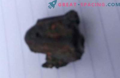 Meteorīts Indijā netika nogalināts